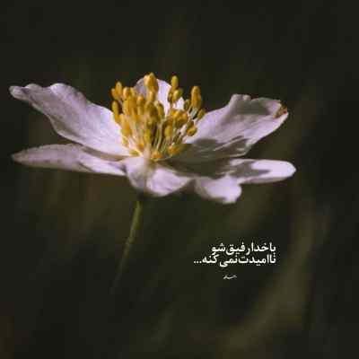 دانلود آهنگ رو دﻳﻮار مرگ ﻣﻴﺰﻧﻢ ﻗﺪم سبحان رستمی