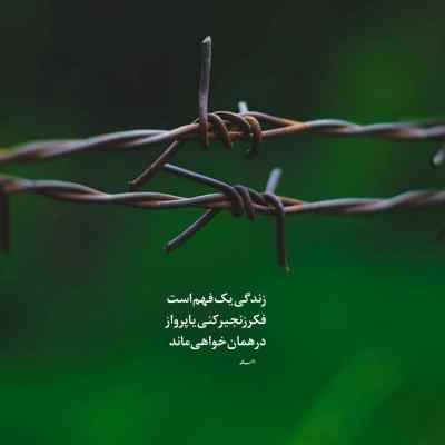 دانلود آهنگ سر شبی عروسک من تو دل مامان و بابا