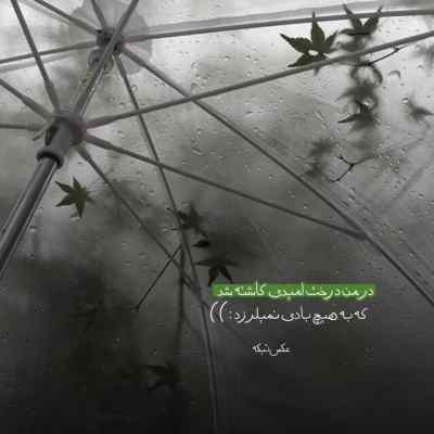 دانلود آهنگ شده دلتنگ شوی چاره نیابی جز اشک