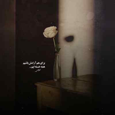 دانلود آهنگ د دان برسون خودتو