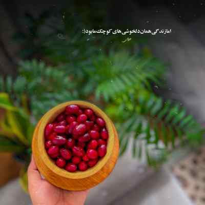 دانلود آهنگ تو درو دیوار هرچی و پرت نمیکردم تو اگه دوسم داشتی علی یاسینی