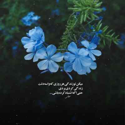 دانلود ریمیکس یهو اومد حمیرا صداش دستور نمیده مغزم به بدنم