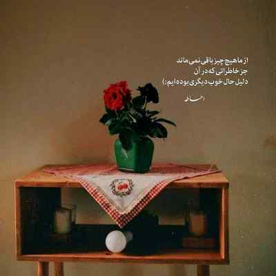 دانلود آهنگ اگه گل بودم حالا شب و روز خارم بدون تو