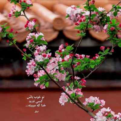 دانلود آهنگ آرزو کردم بعد از تو عاقل نشوم