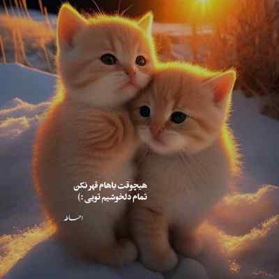 دانلود آهنگ بچه ننه دارم برات وقتی ابرو ور میداری