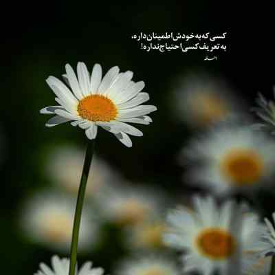 دانلود آهنگ برم سمت کی جز تو از بد عشق دلت پیش من نیست معین