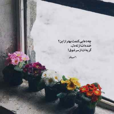 دانلود آهنگ بی جهت نیست این همه زیباییت