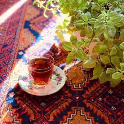 دانلود آهنگ چه شد آن همه پیمان