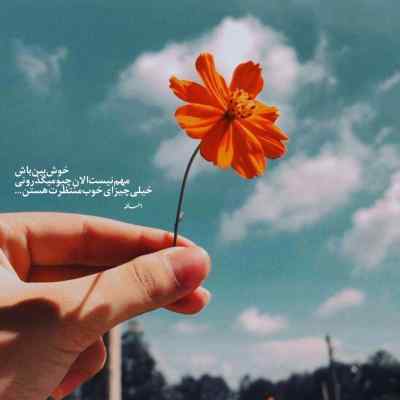 دانلود آهنگ چی شد حواسمون پرت شد سامان جلیلی