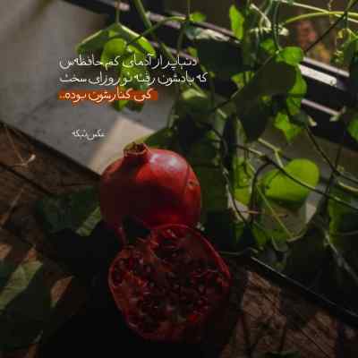 دانلود آهنگ چشمای من میل به گریه داره شکیلا