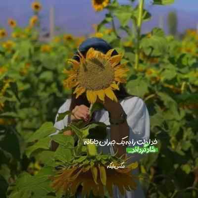 دانلود آهنگ داره میشه فریادم یکم بلند