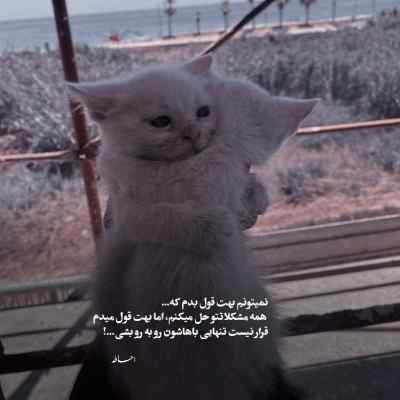 دانلود آهنگ درﺳﺘﻪ ﺑﺎ ﻣﻨﻰ اﻣﺎ ﺑﻪ اﻳﻦ ﺑﻮدن ﻧﻴﺎزارم محسن یا حقی