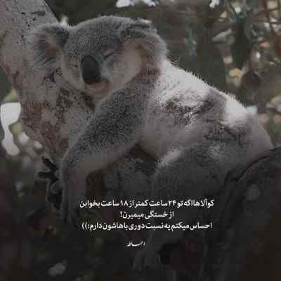 دانلود آهنگ عشق تو رفته به خورد دلم مثل خون تو رگامی
