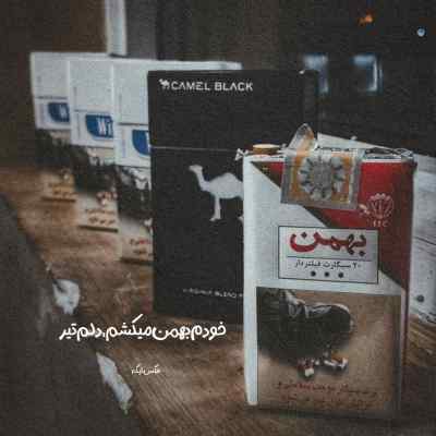 دانلود آهنگ ای که به شبهام صبح سپیدی بی تو کویری بی شامم من