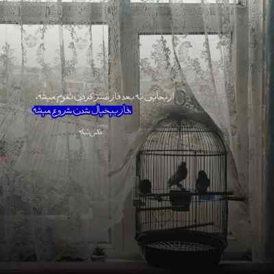 دانلود آهنگ گیسو گندمی بد اخلاق