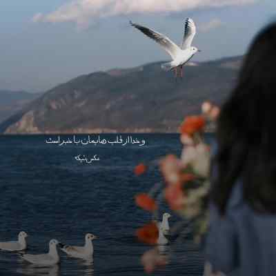 دانلود آهنگ میبردم دلیل بردم تو بودی با صدای زن
