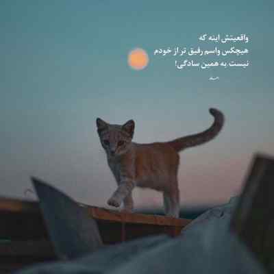 دانلود آهنگ نرو بیرون بهم میریزه کوچه