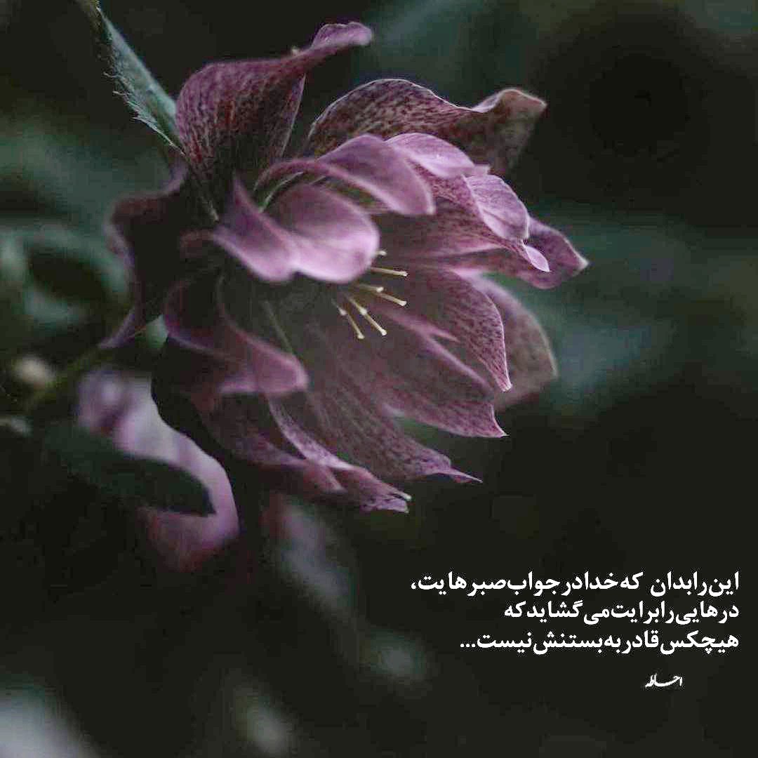 گلچین آهنگهای شاد ترکی استانبولی