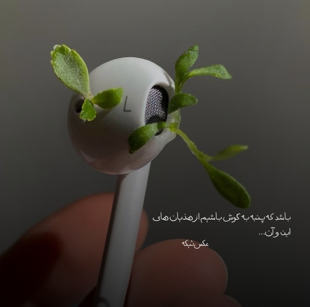 گلچین آهنگ های تراپی و درمانی