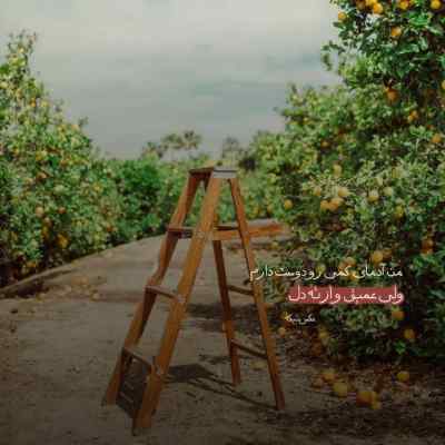 دانلود آهنگ تا به تو فکر میکنم خودت زنگ میزنی
