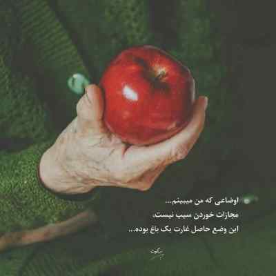 دانلود آهنگ آخ چقد قشنگه واسه تو آدم بجنگه هوش مصنوعی