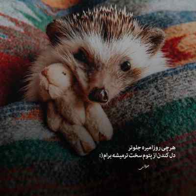 دانلود آهنگ از فردا کاش باشی تو تا آروم بمونم پیام پایا و علی آذر
