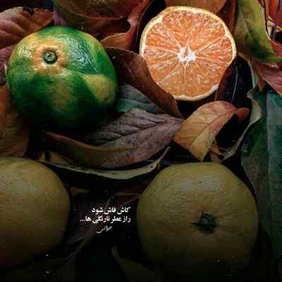 دانلود آهنگ با من باشی غم نداری با من باشی چیزی کم نداری