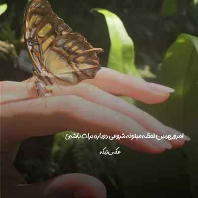دانلود آهنگ بی احساس از شادمهر عقیلی