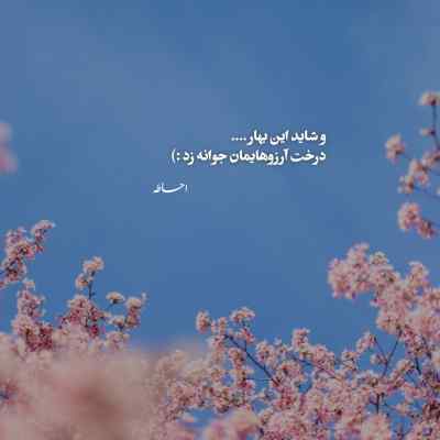 دانلود آهنگ دوریت منو آبم کرد یا تنها بمون یا برگرد هوش مصنوعی مهستی