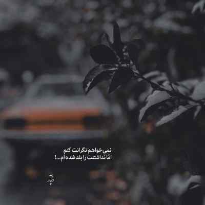 دانلود آهنگ احتیاج دارم به یه خوشحالی از ته دل شایع