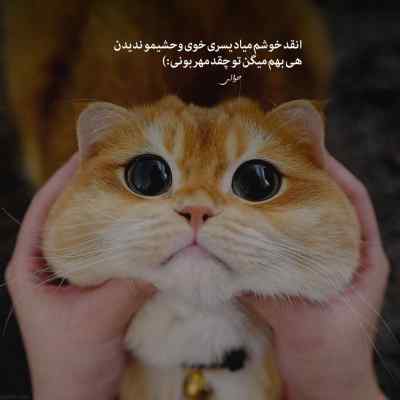 دانلود آهنگ Every Time از Oi Va Voi