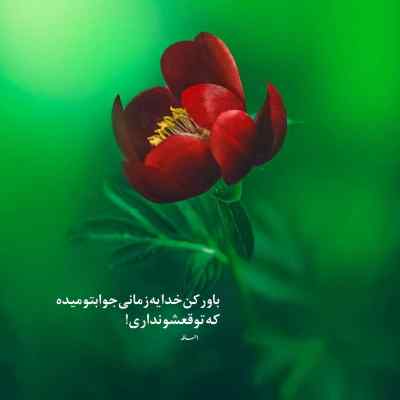 دانلود آهنگ ای ﮔﻞ ﻧﺎز ﻣﻦ ﺗﻮﻳﻰ دﻟﺪار ﻣﻦ
