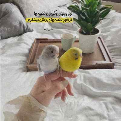 دانلود آهنگ اونقدر برام عزیزی فرامرز آصف