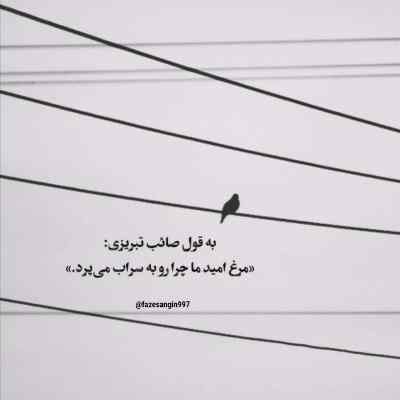 دانلود آهنگ ذوقم وه یه که بیایی بشنوم دنگ صدات فرهاد هداوند لری