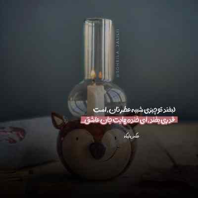 دانلود آهنگ اگه منطقی شه فیزر