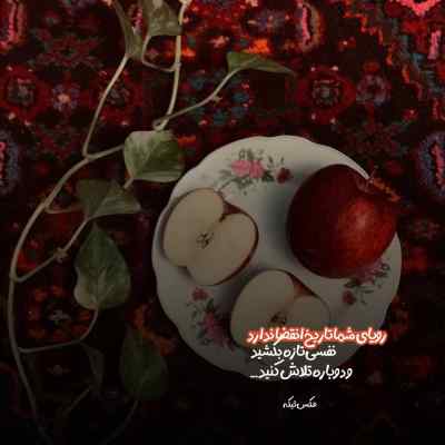 دانلود آهنگ انقده دلتنگ توام گریه گرفت بوی تنم