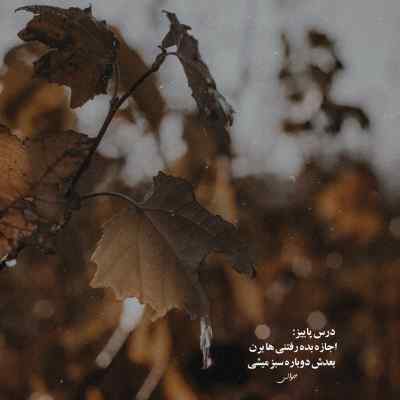 دانلود آهنگ مامانت میدونه واسه بچش میمیرم کیوان حیدری