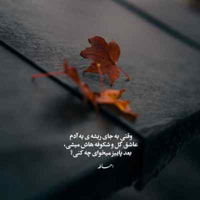 دانلود آهنگ میگن رفتنی میره میگم این راه و این جاده دراز گاد پوری
