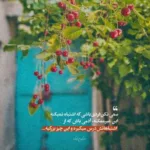 دانلود آهنگ مرتضی اشرفی دختر ناز بابا