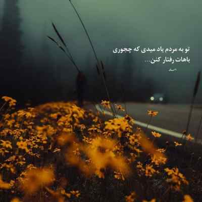 دانلود آهنگ ناصر زینعلی چیکار میکنی تو بانو با این دل وامونده