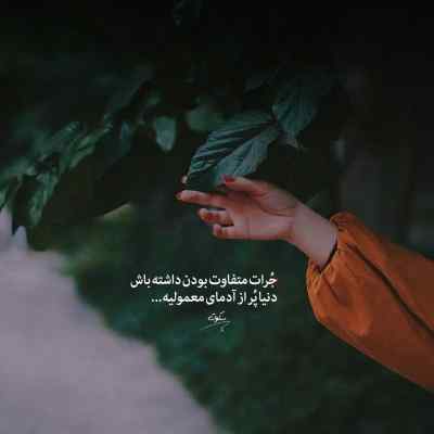 دانلود آهنگ نازک دل من ناز گل من دلبر من فرزانه حسن داوند
