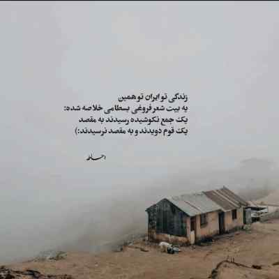 دانلود آهنگ پلیس میکشه به بو به بو