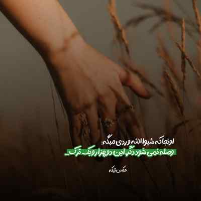 دانلود آهنگ شلال مو خرمایی الهه زیبایی سعید حسینی