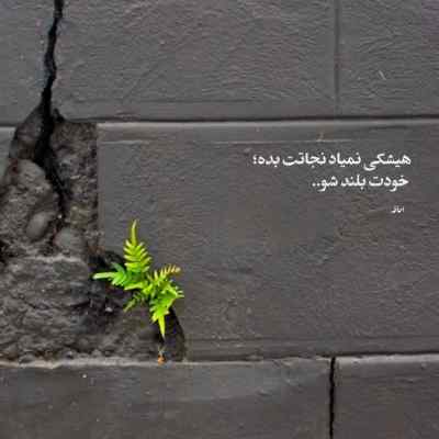 دانلود آهنگ سر تا پا تنم مشکی میپوشم آﺧﻰ ﮔﻮزون ﻗﺎرادی با صدای زن