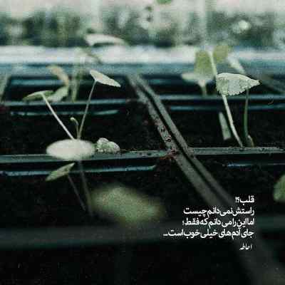 دانلود ریمیکس ﺗﻮ ﺑﺮﮔﻪ ی آس ﻣﻨﻰ ﻣﺨﺎﻃﺐ ﺧﺎص ﻣﻨﻰ بیس دار اینستا