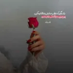 دانلود آهنگ شاهرخ چه تلخه بی تو گم شدن