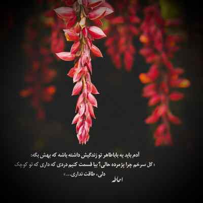 دانلود ریمیکس تو فصل پرواز پلیکان ها سورنا