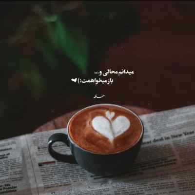 دانلود آهنگ تویی همه دار و ندارم مونس و یاور و يارم شهرام شب پره
