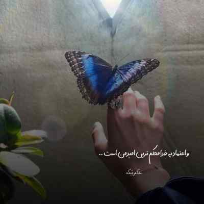 دانلود آهنگ زخم عمیق از شادمهر و محسن یگانه هوش مصنوعی