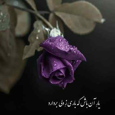 دانلود آهنگ در پی اهوی عشق